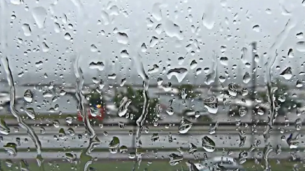 Video Post Format - 绿茵体育2